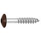 Facade screws for HPL panels A4, 5.5 x 35, RAL 8014 Sepia brown, PU: 100