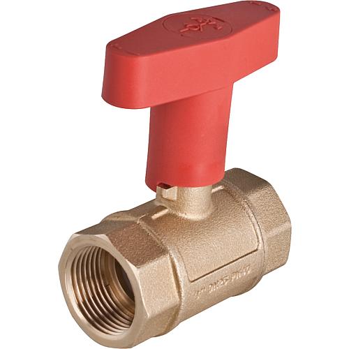 Ball valves with check valve and Iso-T handle Standard 1